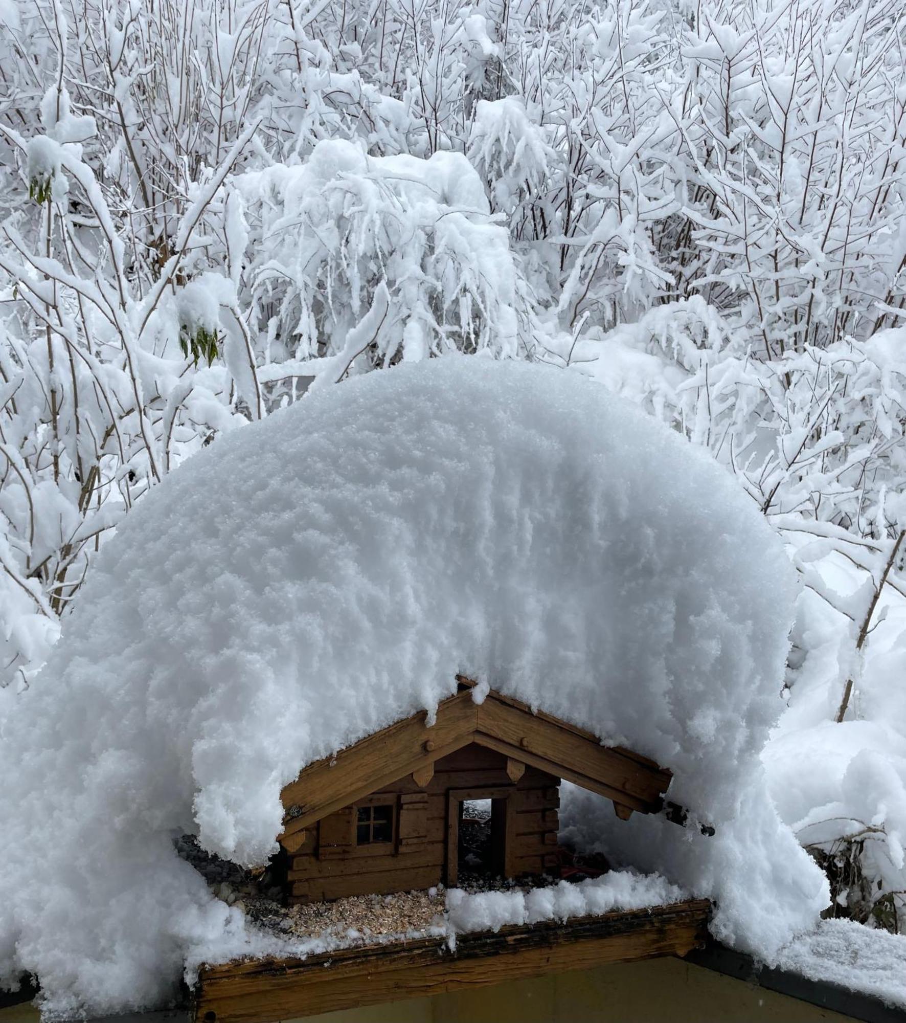 Ferienwohnung Mondial Neustift im Stubaital Exterior photo